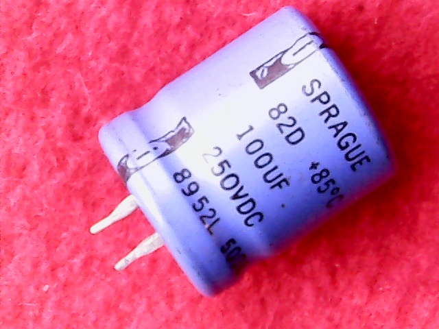 Electrolytic Capacitor Radial 100u 250V