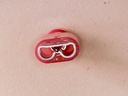 Kabelschoen Vol Geïsoleerd Schuif 6.3 0.5-1 mm Rood