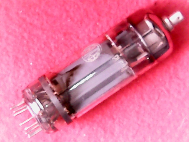 PL504 Fivre