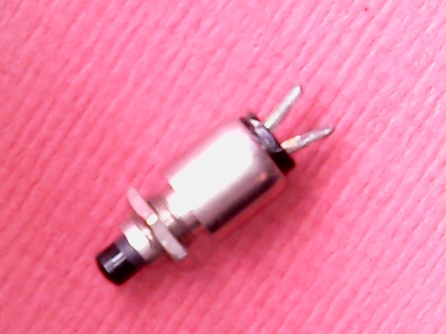 Push Switch SPST