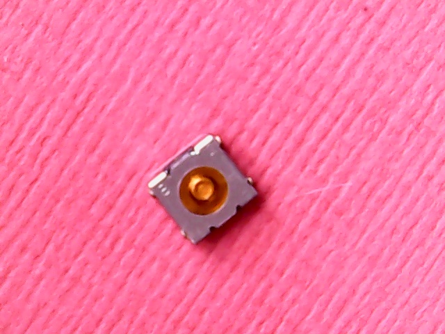Push Switch SPST