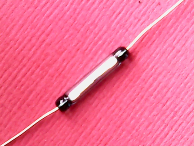 Reed Switch