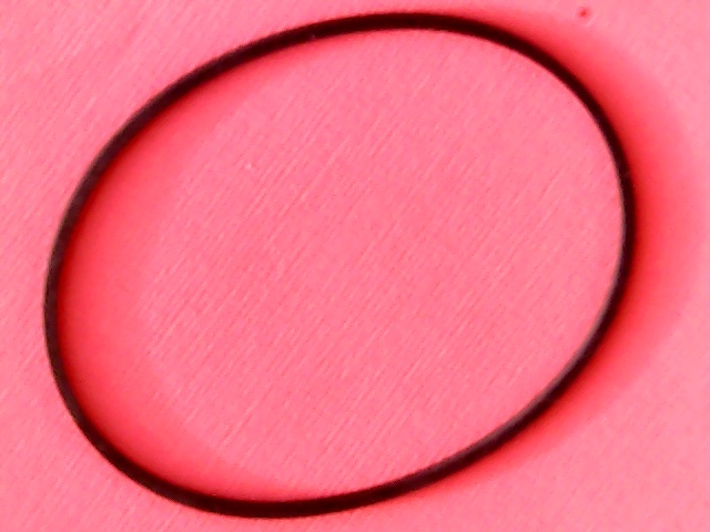 [VSB-007862] Belt Square 82(257,5)x2