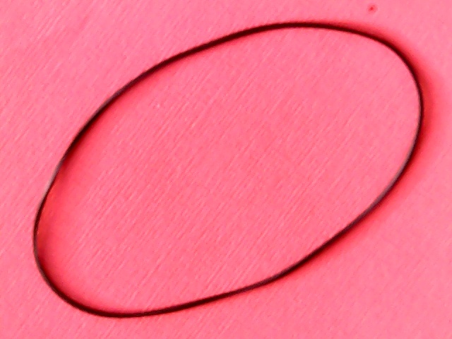 Belt Square 83(260,6)x1