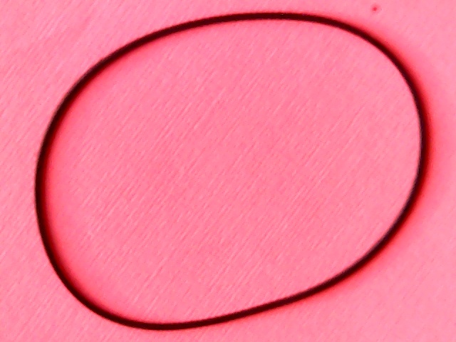 [VSB-007868] Belt Square 86(270)x1,2