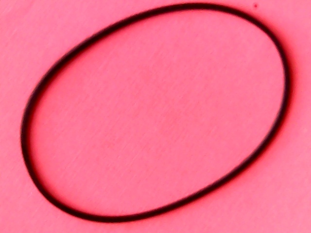 [VSB-007871] Belt Square 90(282,6)x2