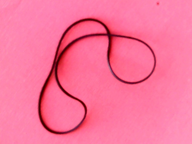 Belt Square 100(314)x1,2