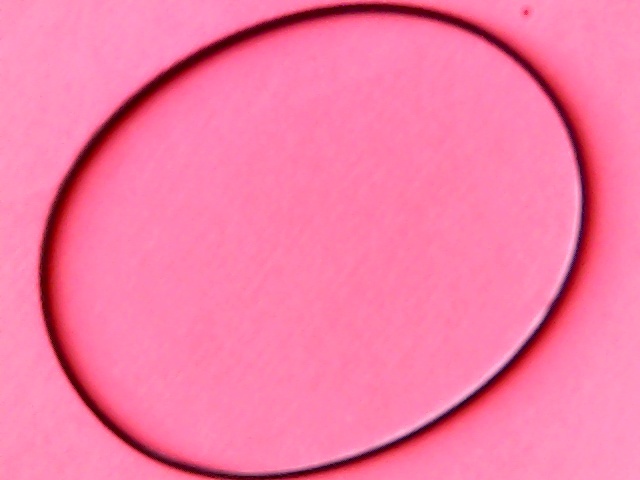 [VSB-007875] Belt Square 102(320,3)x1,8