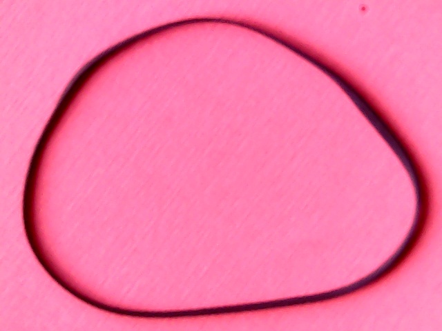 [VSB-007983] Belt Flat 76(238,6)x3x0,8