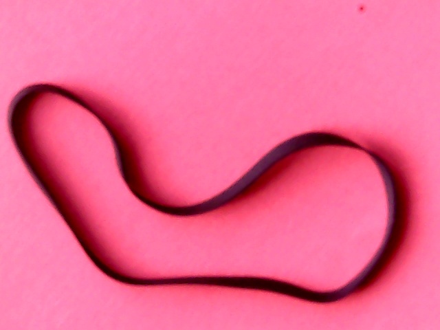 Belt Flat 95(298,3)x6x0,7