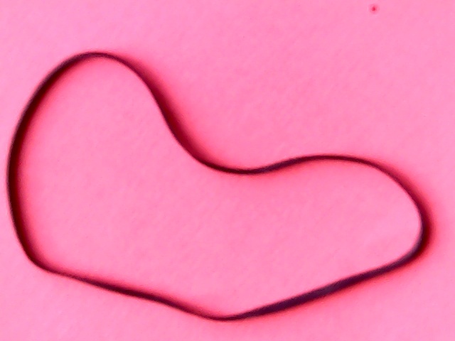 [VSB-008010] Belt Flat 96(301,4)x4x0,5