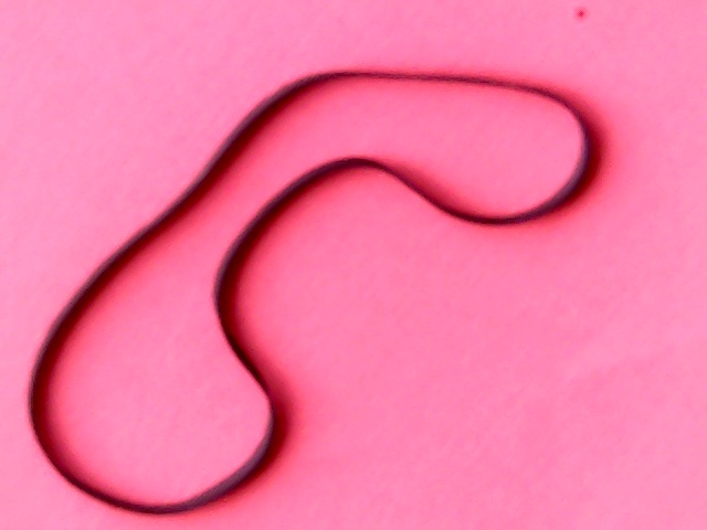 [VSB-008011] Belt Flat 96(301,4)x4x0,6