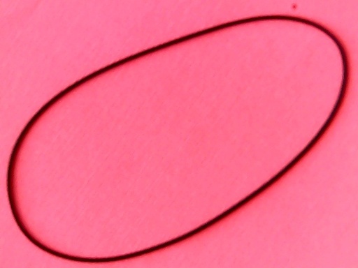 [VSB-007872] Belt Square 96(301,4)x1,2
